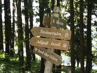 Parco vacanze Inzell Registrazione all'aperto 10