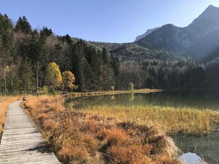 Parque de vacaciones Inzell Entorno 48