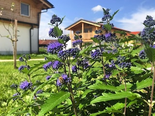 Parco vacanze Inzell Registrazione all'aperto 8