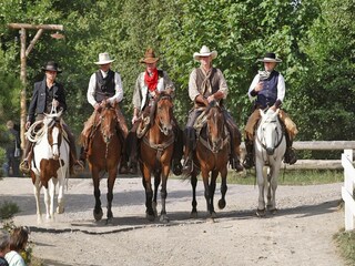 Parque de vacaciones Hasselfelde Entorno 16