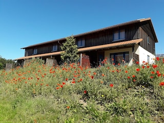 Holiday park Hasselfelde Outdoor Recording 3