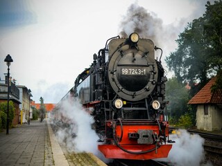 Parc de vacances Hasselfelde Environnement 28