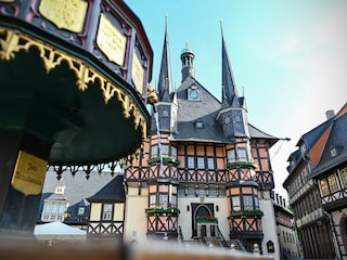 Holiday park Hasselfelde Environment 29