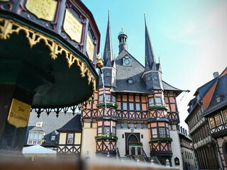 Parc de vacances Hasselfelde Environnement 29