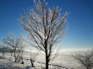 Ferienpark Hasselfelde Umgebung 31