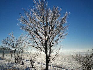 Parco vacanze Hasselfelde Ambiente 31
