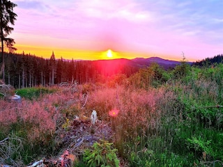 Holiday park Hasselfelde Environment 32