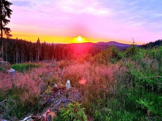 Vakantiepark Hasselfelde Omgeving 32