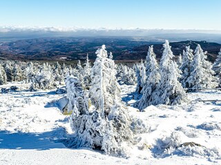 Vakantiepark Hasselfelde Omgeving 34