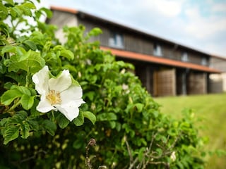 Holiday park Hasselfelde  37