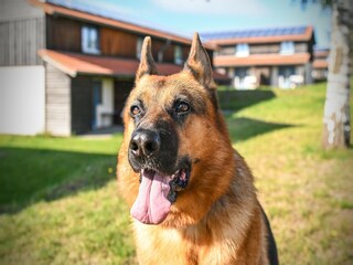 Parco vacanze Hasselfelde  38