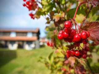 Holiday park Hasselfelde  39