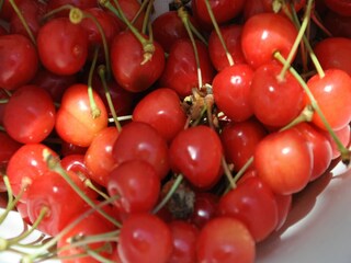 Vakantiepark Monthou-sur-Cher  39