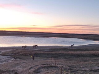 Holiday park De Cocksdorp Environment 18