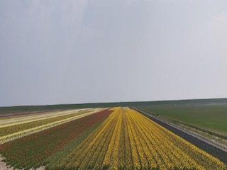 Holiday park De Cocksdorp Environment 28