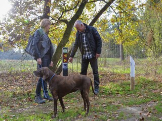 Vakantiepark Heel Omgeving 11