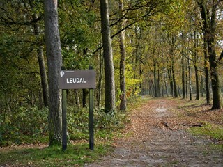 Vakantiepark Heel Omgeving 13