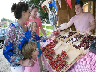 Vakantiepark Hoenderloo Omgeving 23