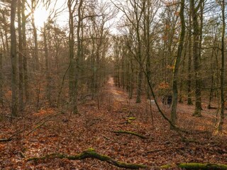 Vakantiepark Hoenderloo Omgeving 21
