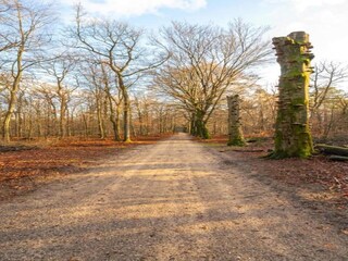 Vakantiepark Hoenderloo Omgeving 19