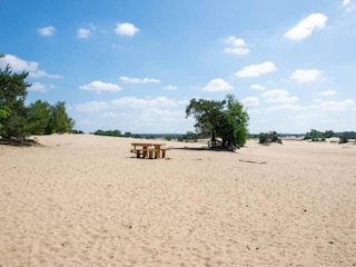 Parc de vacances Hoenderloo Environnement 20