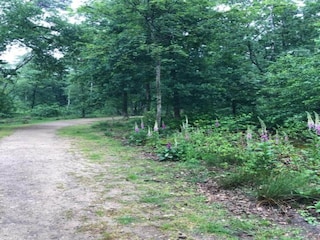 Vakantiepark Hoenderloo Omgeving 22