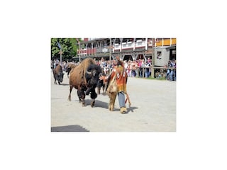 Ferienpark Hasselfelde Umgebung 13