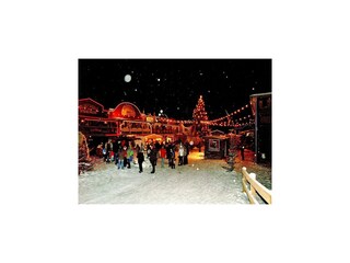 Ferienpark Hasselfelde Umgebung 11