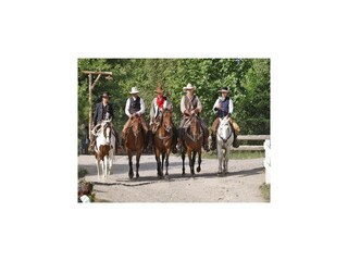 Parco vacanze Hasselfelde  15