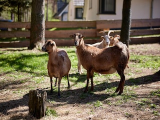 Ferienpark Alt Schwerin Außenaufnahme 5