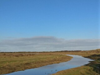 Parco vacanze De Cocksdorp Ambiente 31