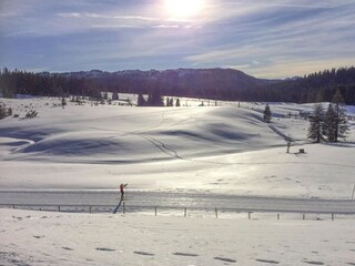 Parc de vacances Inzell Environnement 24