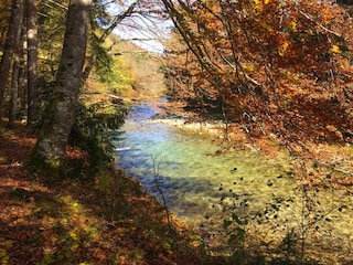 Parc de vacances Inzell  30
