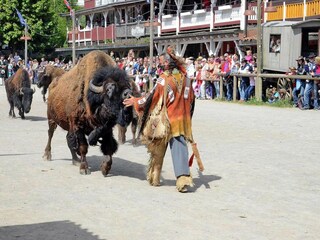 Vakantiepark Hasselfelde Omgeving 14