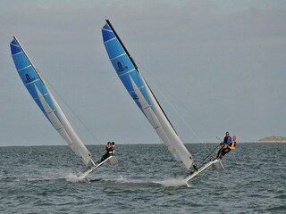 Parc de vacances De Cocksdorp Environnement 12