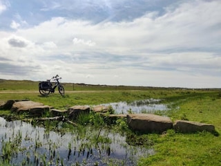 Parc de vacances De Cocksdorp Environnement 31