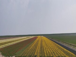 Vakantiepark De Cocksdorp Omgeving 22