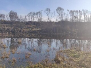 Ferienpark De Cocksdorp Umgebung 28