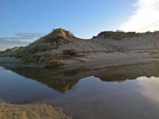 Parc de vacances De Cocksdorp Environnement 18