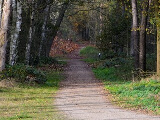Ferienpark Heel Umgebung 22