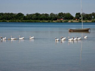 Parc de vacances Heel Environnement 15