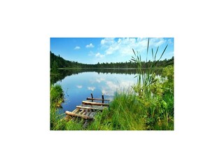 Vakantiepark Podamirowo Omgeving 20