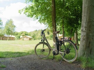 Parco vacanze Ermelo Ambiente 20