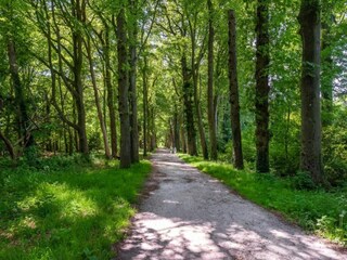Parc de vacances Ermelo Environnement 26