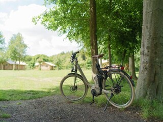 Parque de vacaciones Ermelo Entorno 24