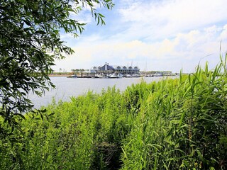 Parc de vacances Tholen (Stadt) Environnement 21