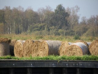 Ferienpark Ossenzijl Umgebung 22