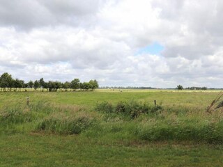 Vakantiepark Ossenzijl Omgeving 30