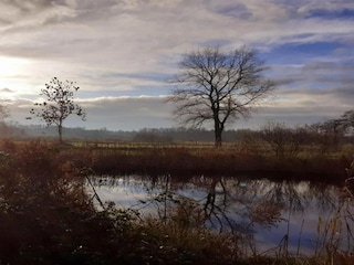 Vakantiepark Ossenzijl Omgeving 26