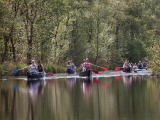 Vakantiepark Ossenzijl Omgeving 32